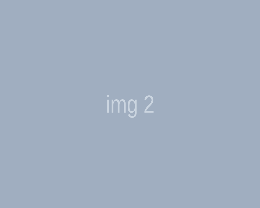 img 2